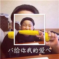 虎年全家福头像图片2023最新款