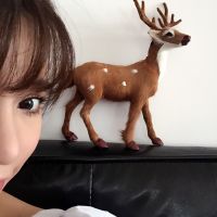 有关腐女的网名