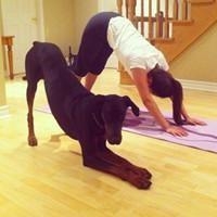 英文网名个性点的网名