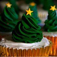 5英文网名带翻译简短