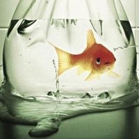 微信以芳和黎明的网名选择指南2025