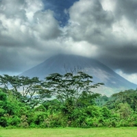 冰心2025：五字网名新风尚