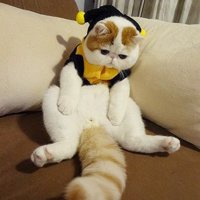 个性姓名网名
