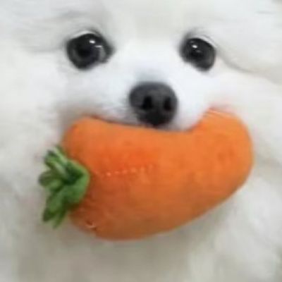吾凤在上情侣头像