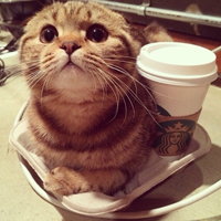 奥特曼头像搞笑质朴