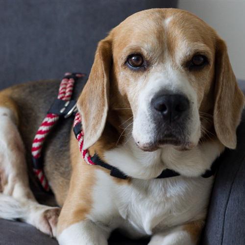 清字起什么网名好听