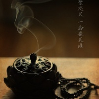 蝶恋花符号网名大全2025版-唯美诗意昵称精选