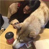 个性网名至尊宝