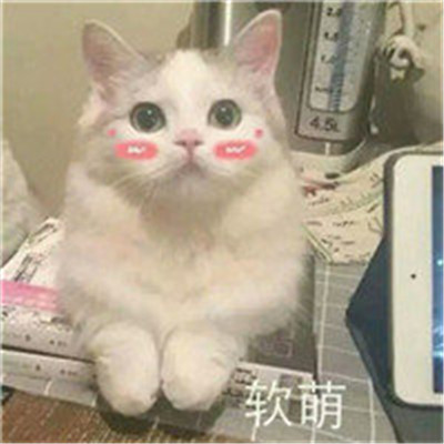 头像加可爱图标怎么弄