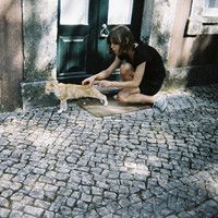 女生头像ins高级质感狗狗