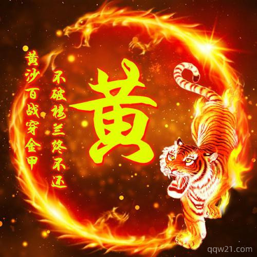 老虎姓氏头像图片
