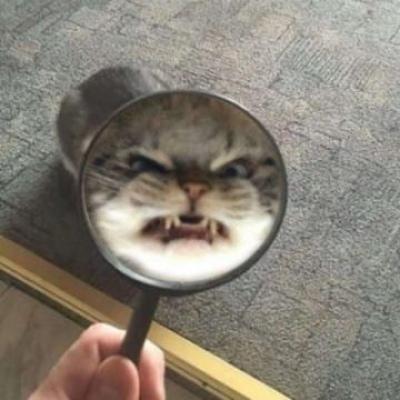 蜡笔情侣头像小新