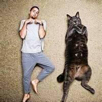 茶杯头头像图片搞笑