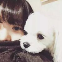 华晨宇qq网名