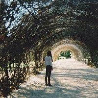 女人为情所伤的网名