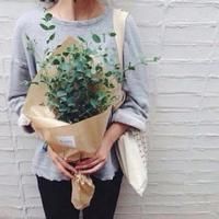 qq情战女生网名大全