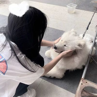 詹姆斯情侣头像