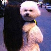 女网名简单好听的