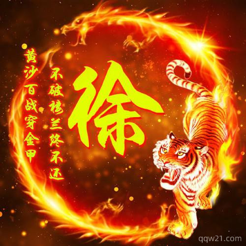 2023微信姓氏头像老虎