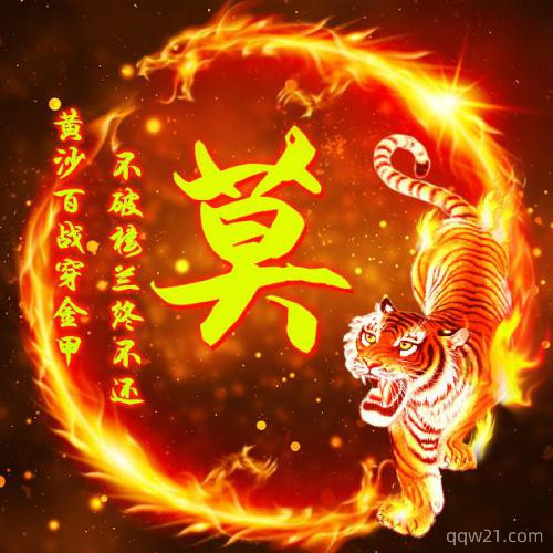 2023年微信新头像老虎