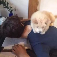男士微商头像图片