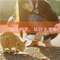 五字qq网名霸气