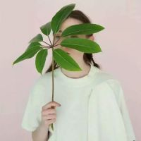 成熟欧美个性网名
