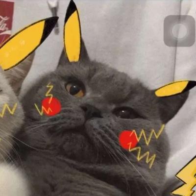汤姆猫头像情侣