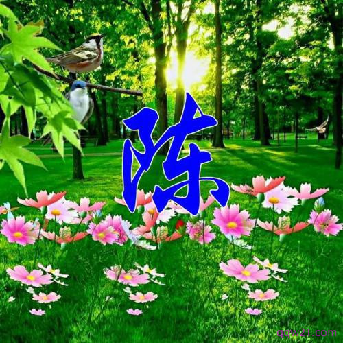 简约姓氏微信头像