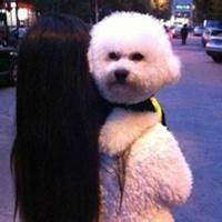 qq头像皮卡丘霸气图片