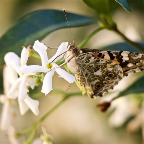 好看的头像去哪里下载