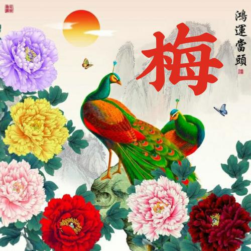 2022微信最火头像图片姓氏姚