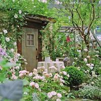 小什么好听网名