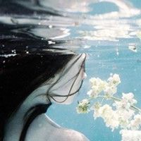 谎言英文网名