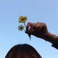 带巧字的女生网名