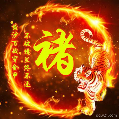 老虎姓氏头像大全集微信