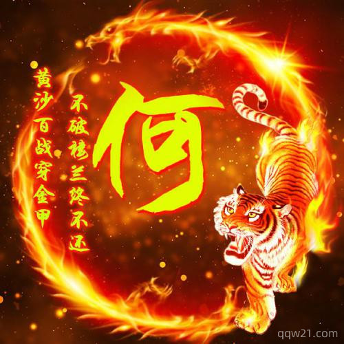 2022年老虎姓氏头像