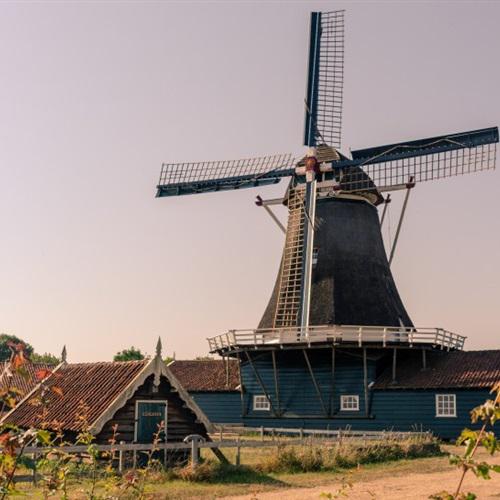 有没有好看的陌陌头像图片