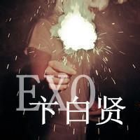 头像女侧脸丸子头