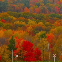 2025云端漫步：诗意网名与未来风尚